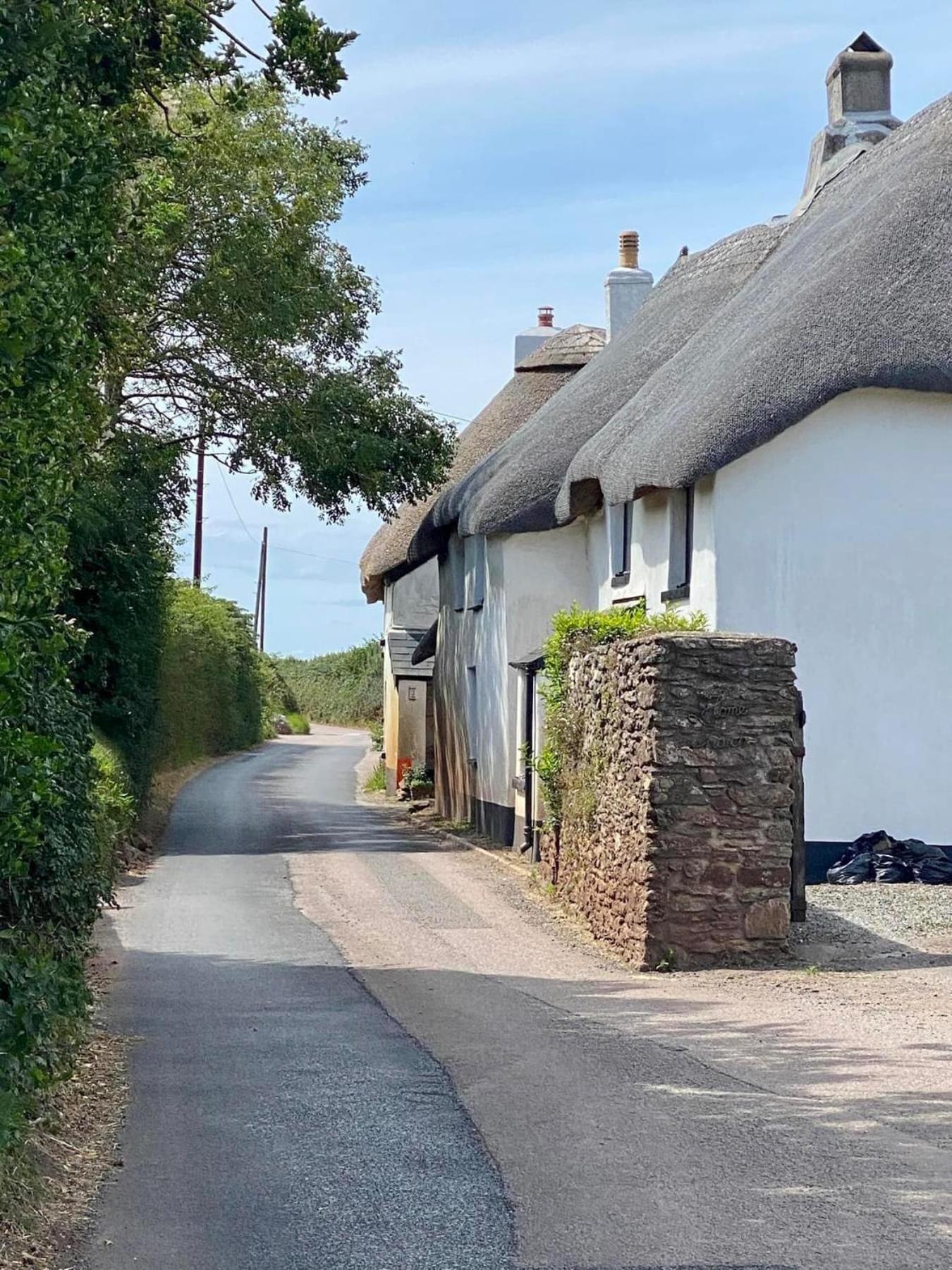 Hope Thatch *